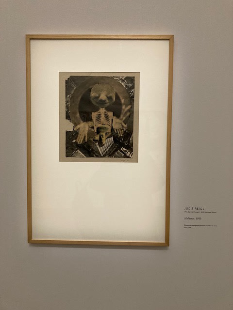 &copy; photo Jean-Paul Ameline