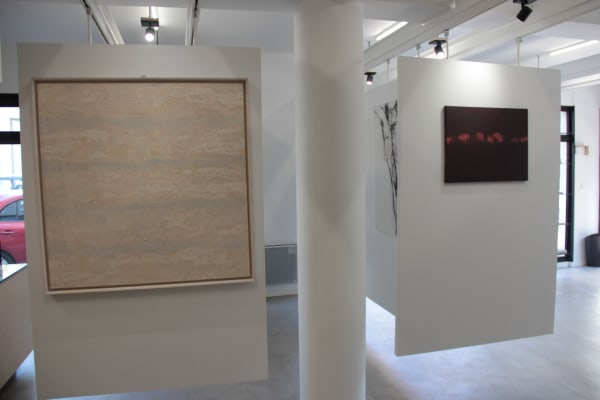 © Tous droits réservés / Fonds de dotation Judit Reigl