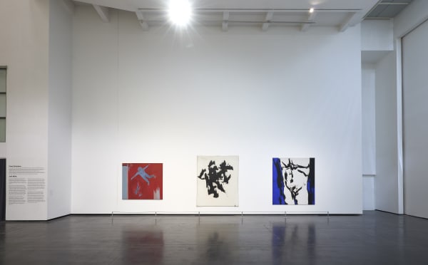 © photo Damien Aspe / Les Abattoirs Toulouse