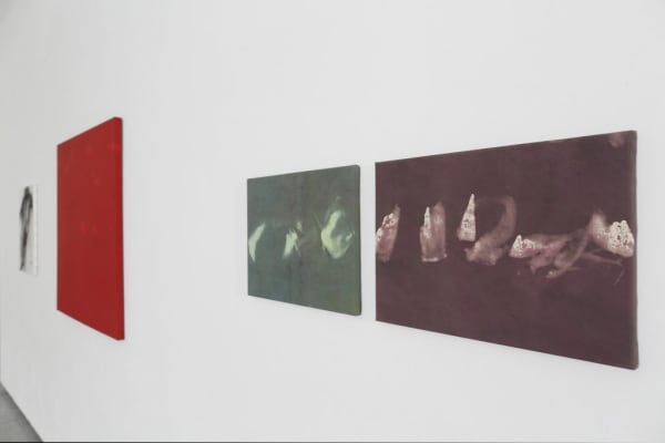 © Photo Florent Gardin