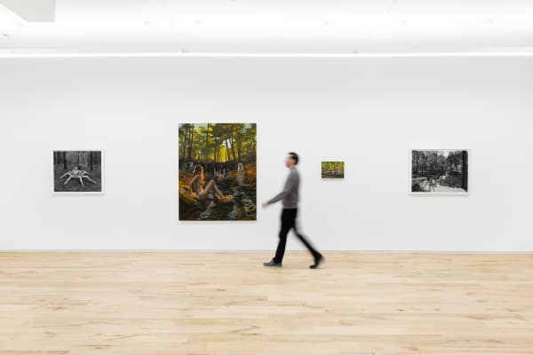 Emilycoan Spidersilk Dimin 2024 16