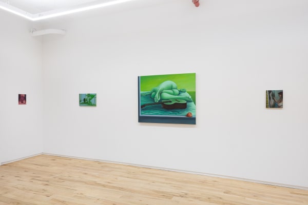 Dimin Elena Redmond Sitting Ducks 13