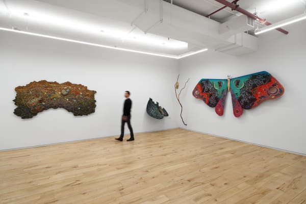 2025 1212 Dimin 55 2000Px