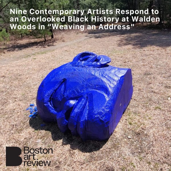 Nine Contemporary Artists Respond to an Overlooked Black History at Walden Woods in “Weaving an Address”