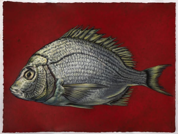 Kim Spooner - She was never flustered by nudity or genitalia in art, 2025