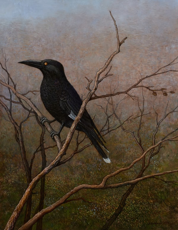 Adam Nudelman - Dusk in the Highlands, 2025