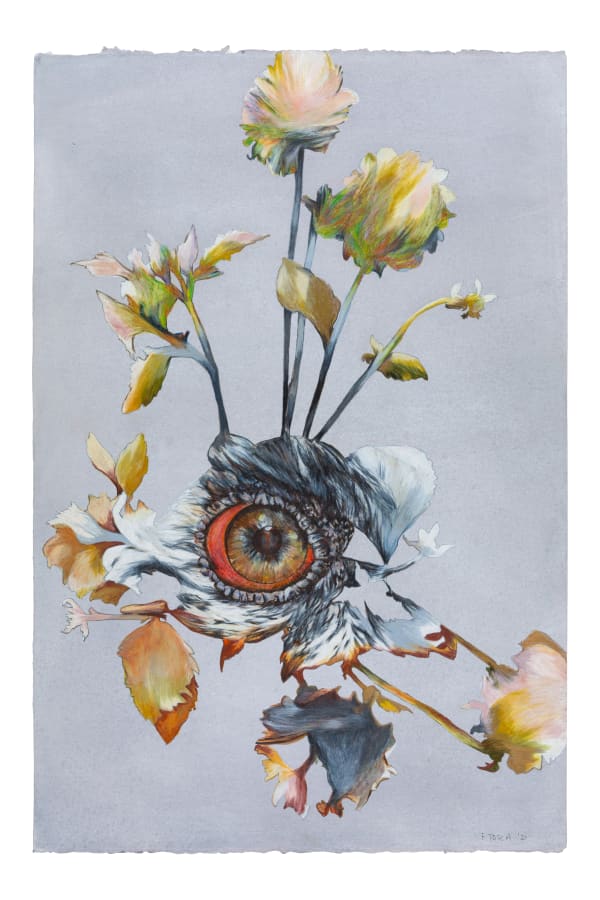 My Anthropocentric Wunderkammer