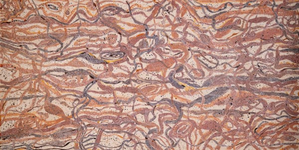 Return to Country Jorna Newberry