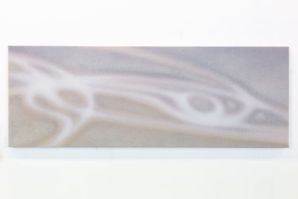 New Geographies , Accompanying essay to the exhibition by Hector Campbell