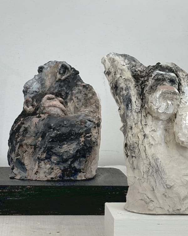 laura chasman - the peace of wild things, 2024