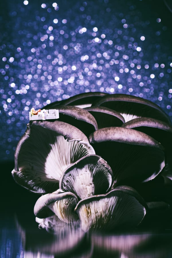 AA - LOCALS NO. 2 , TARA GORMAN - BLUE OYSTER, 2025