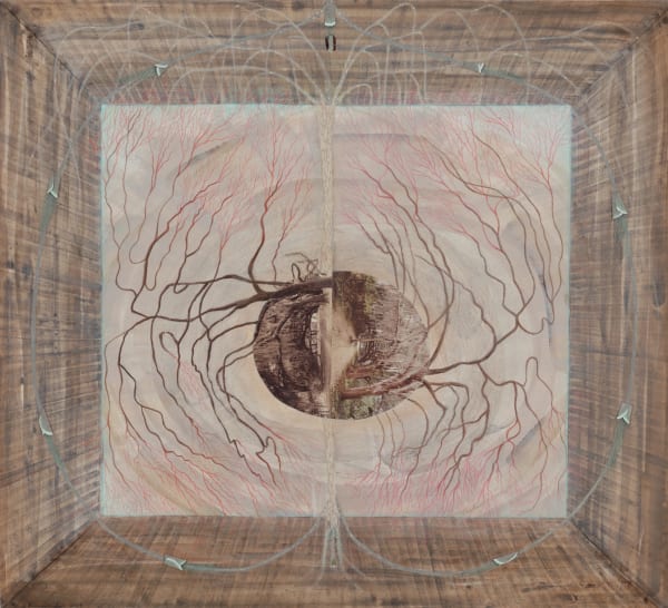 MARCY HERMANSADER, rooted, 2019