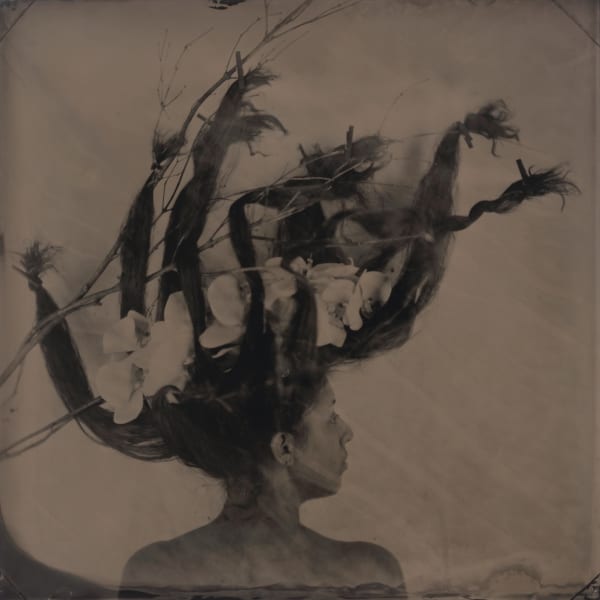 rachel portesi, orchid hair