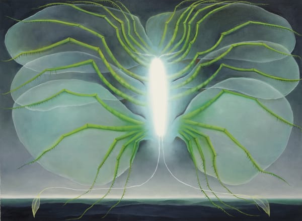 Ash Eliza Williams, night pollinator