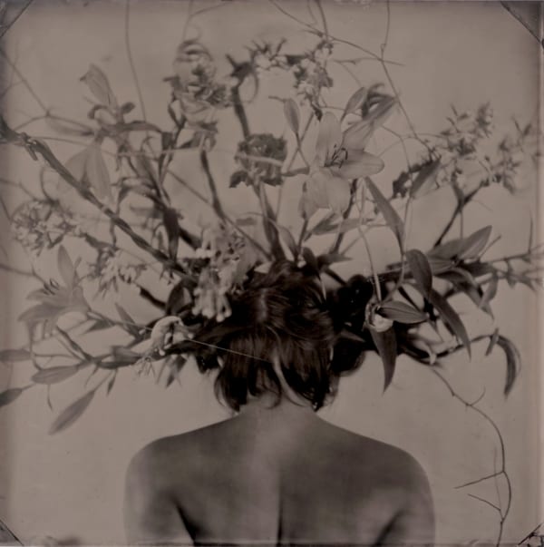 rachel portesi, flower antlers