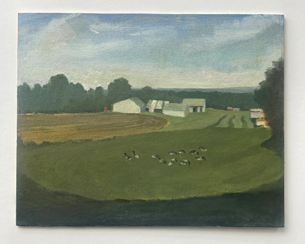 stacy caldwell , no. 9 geese grazing