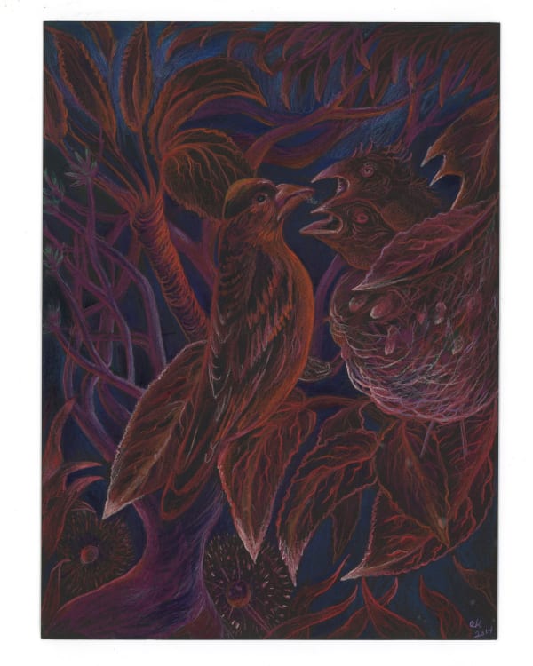 ALEXA KLEINBARD, mama robin feeding her chicks