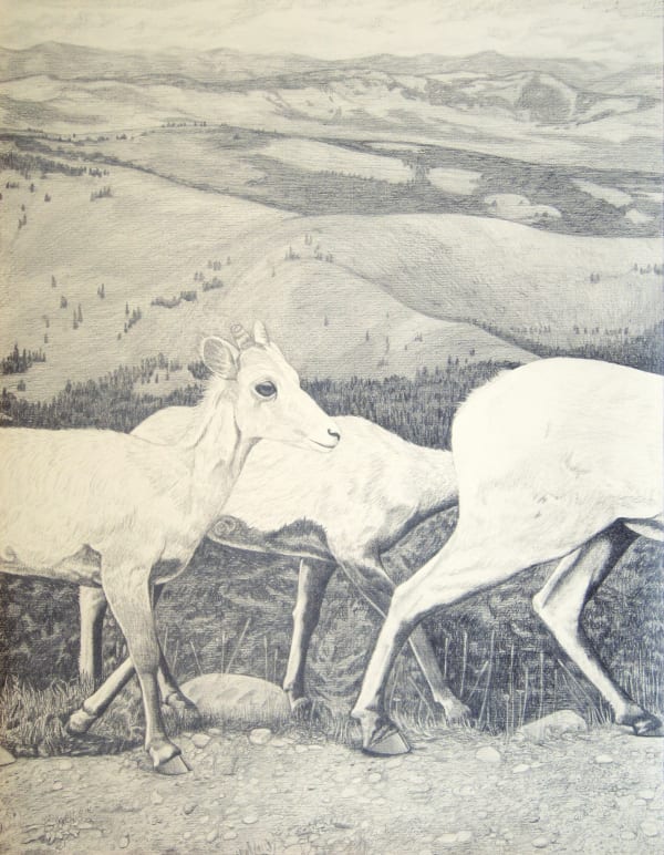 AA - LOCALS NO. 2 , CATHY DURSO - DESCENDING THE MOUNTAIN