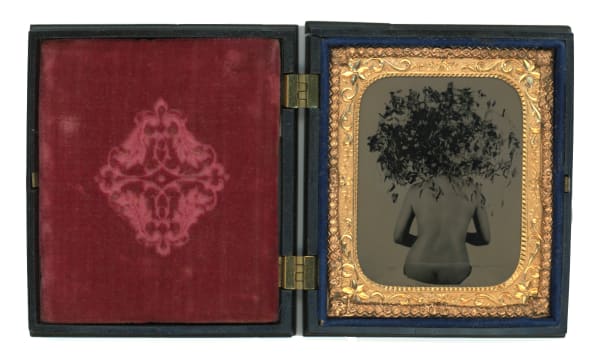 rachel portesi, Bush Head (small vintage frame)