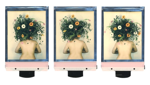 rachel portesi, bush head (triptych)