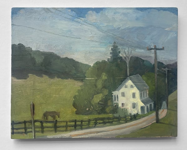 stacy caldwell , no. 17 horse grazing at that house near highpoint