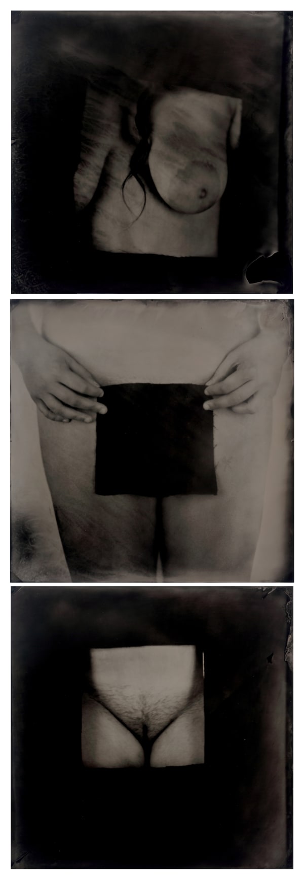 rachel portesi, a body of one's own (triptych)