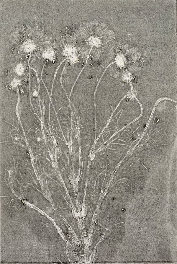 JEFFREY KATZ, #86, 2024