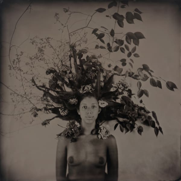 rachel portesi, life cycle