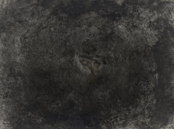 sarah h. paulson, WITNESS SERIES - no. 4, 2020