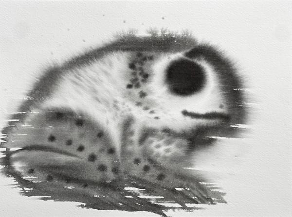 adam gurvitch, toad dreaming , 2021