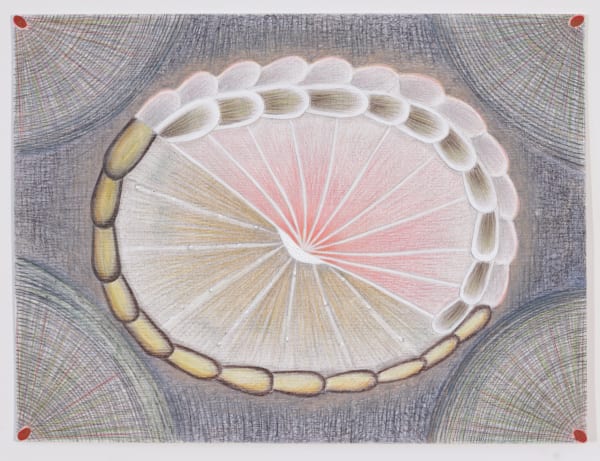 MARCY HERMANSADER, around, 2007