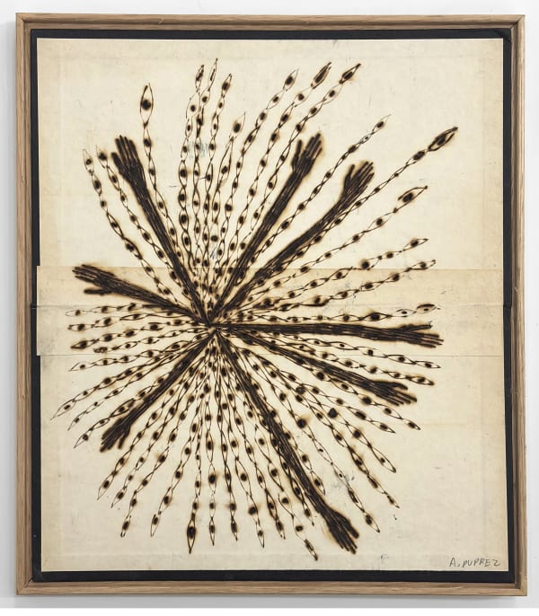 ALEXANDRA DUPREZ , no. 19