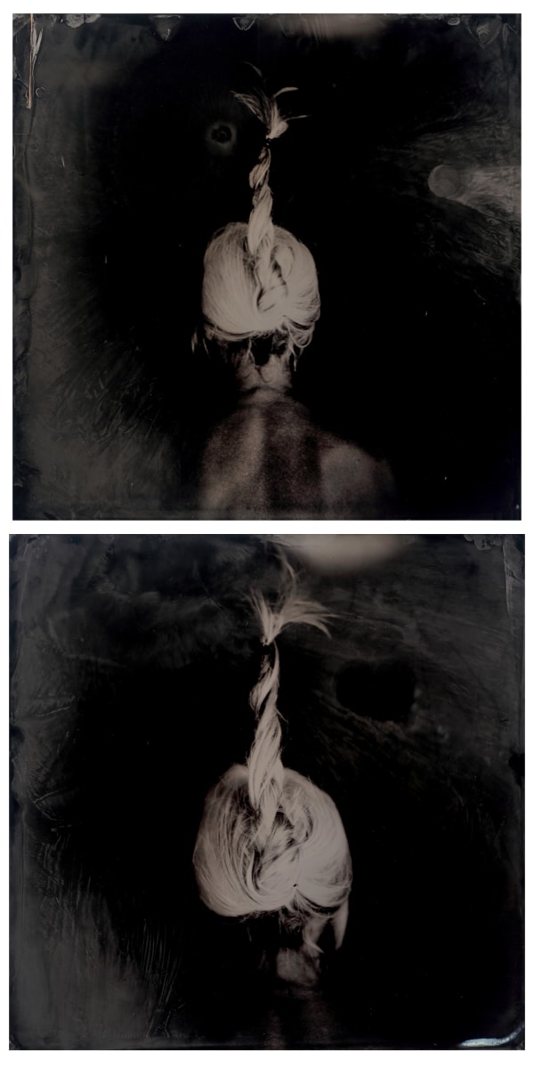 rachel portesi, grey hair (diptych)