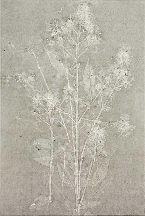 JEFFREY KATZ, #92, 2024