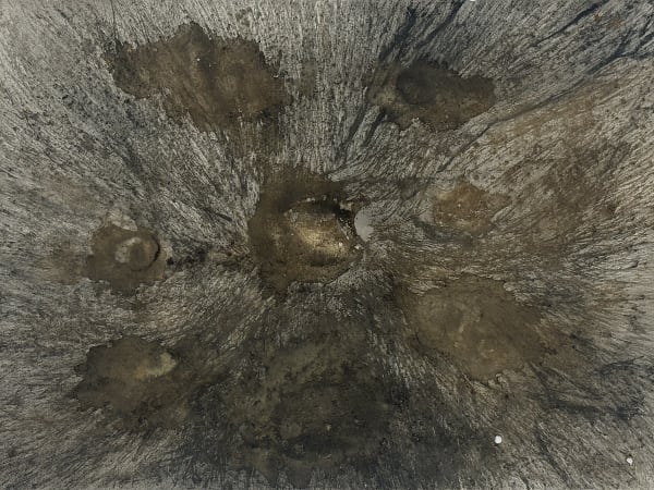 sarah h. paulson, WITNESS SERIES - NO. 5, 2020