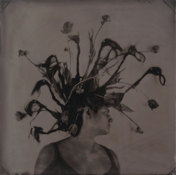 rachel portesi, tulip hair mohawk no. 2