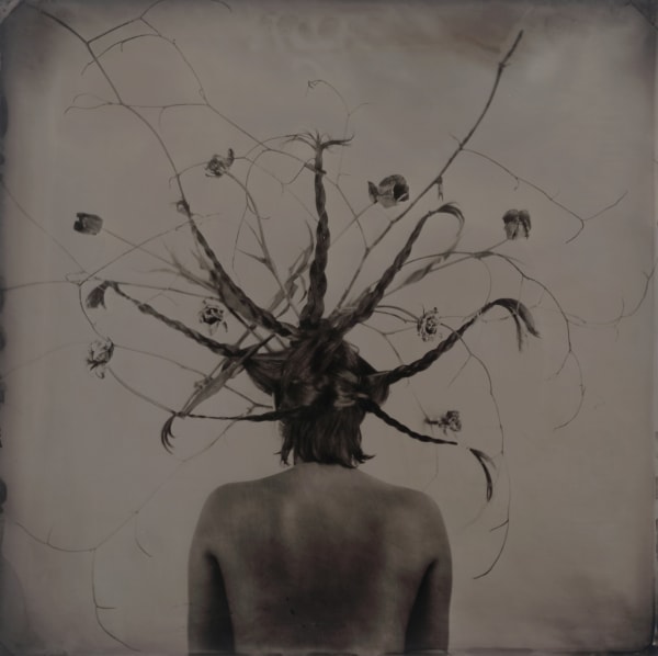 rachel portesi, tulip braids