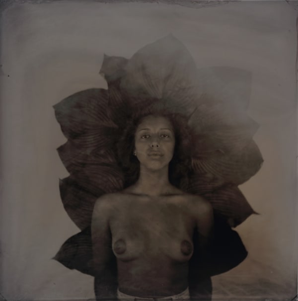 rachel portesi, isabel, fading hastas