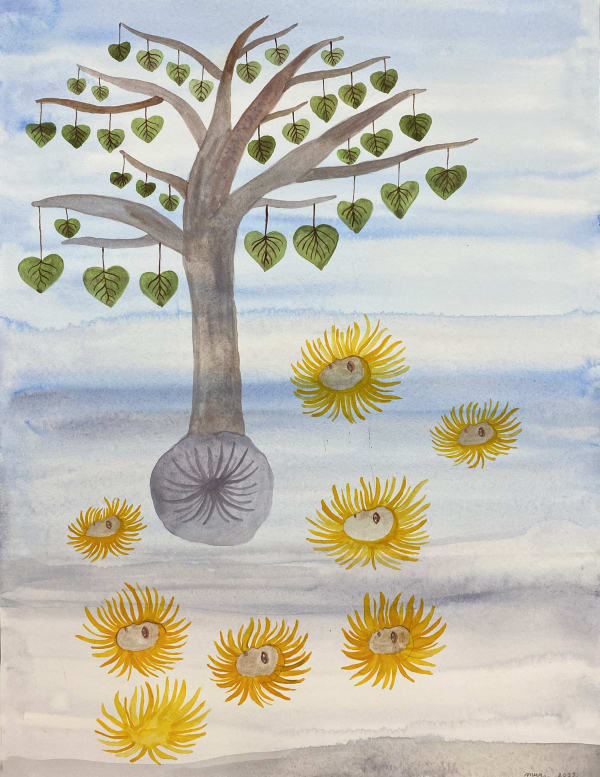 mugi takei, tide pool with sea anemone