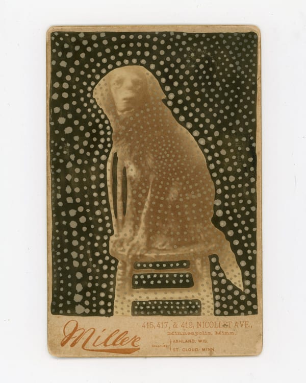 amy johnquest, dear old spot