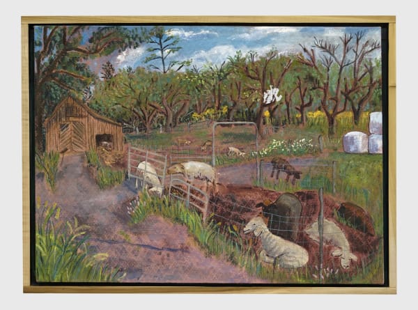 locals no. 1 A, Hannah brookman - Sheep in the Orchard, Ames Hill