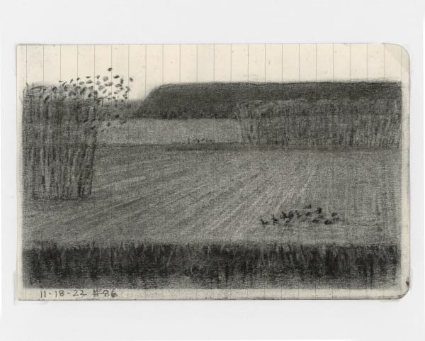 stacy caldwell , no. 32 flock of birds, fallow fields