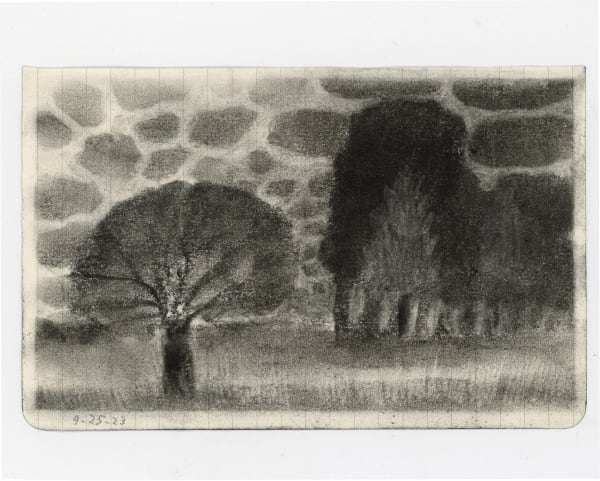 stacy caldwell , no. 24 tree with little clouds