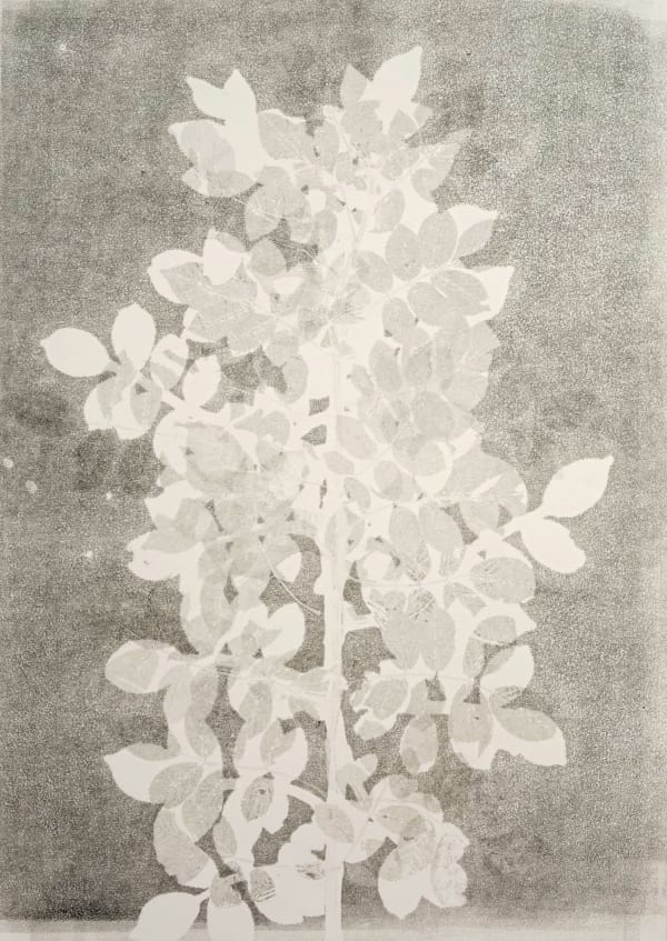 JEFFREY KATZ, #105, 2024