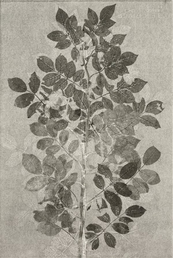 JEFFREY KATZ, #107, 2024