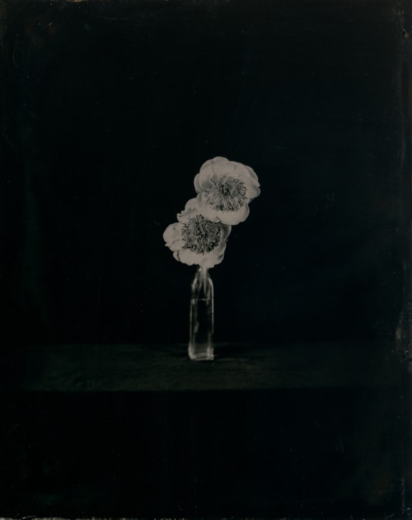 rachel portesi, do tell no. 1