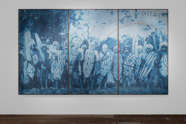 Danie Mellor dirran: at the edge of the forest