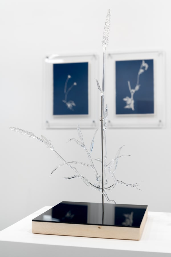 Duranmashaaloctobre2023 22 Of 29