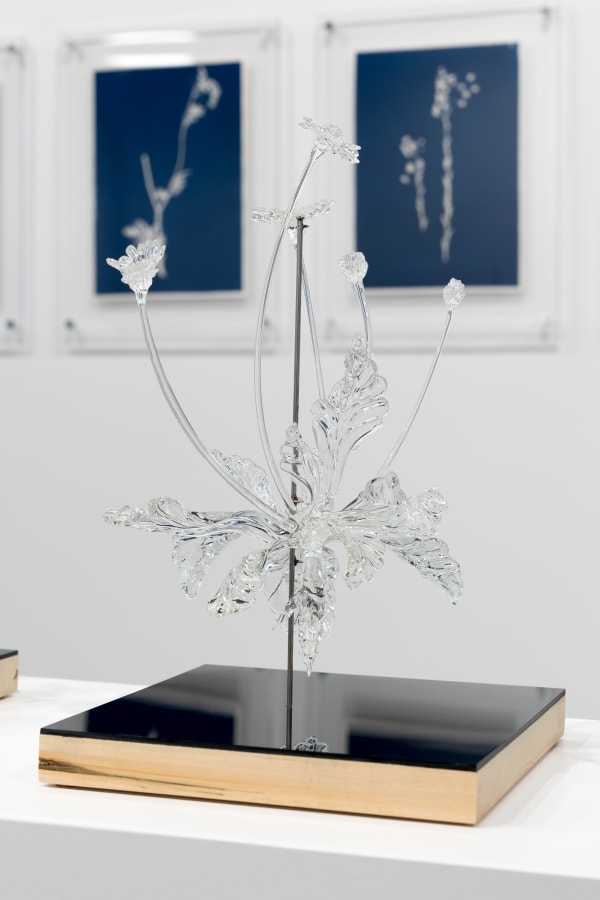 Duranmashaaloctobre2023 24 Of 29