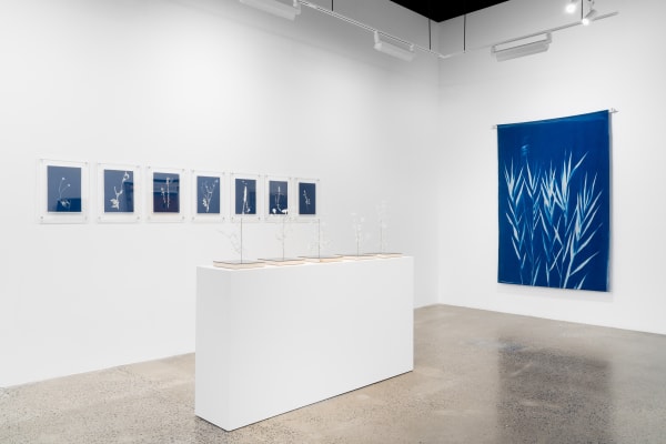 Duranmashaaloctobre2023 3 Of 29